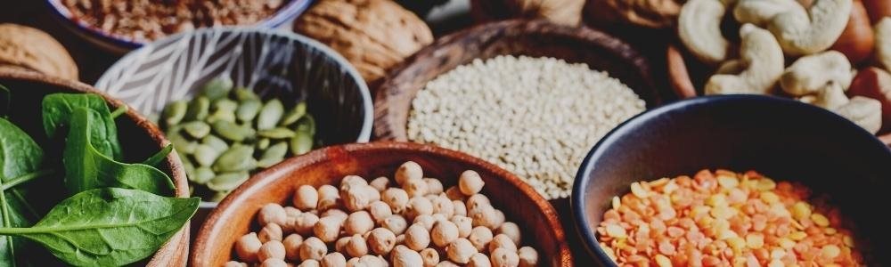 Plant-based proteins: The evolving market